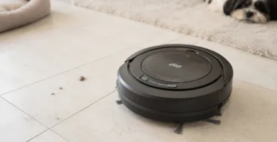 Robô aspirador WAP Robot W90 limpando piso em ambiente doméstico com pet ao fundo